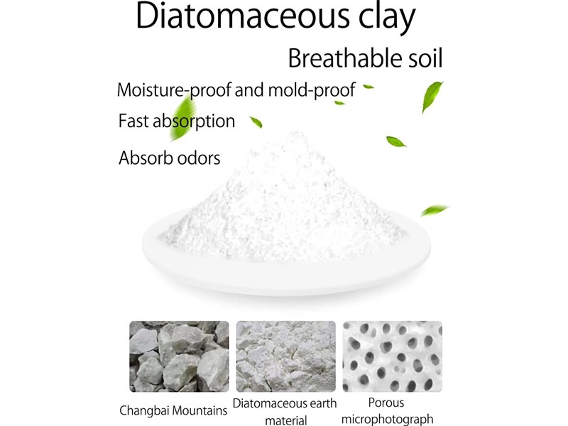 Diatomaceous earth empower life aesthetics -- the ecological innovation road of Dongguan Jinpai industry and trade