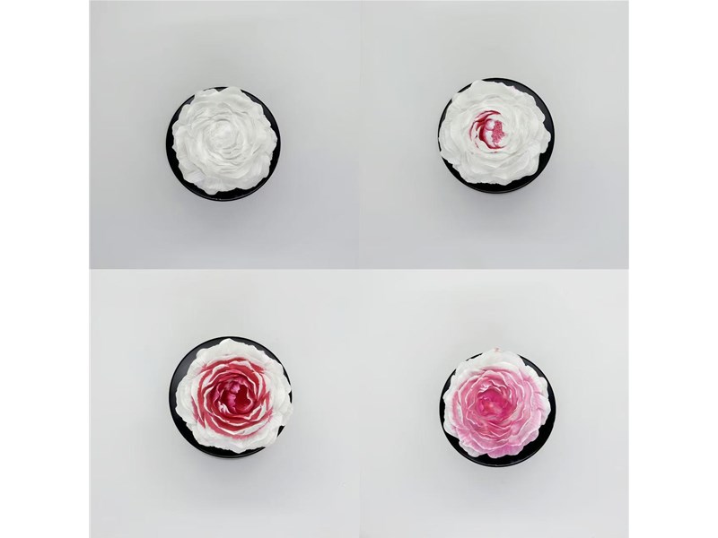 New Era of Fire Free Aromatherapy: Color-changing diffuser flowers that 